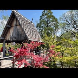 Meet your Posher, Ivy